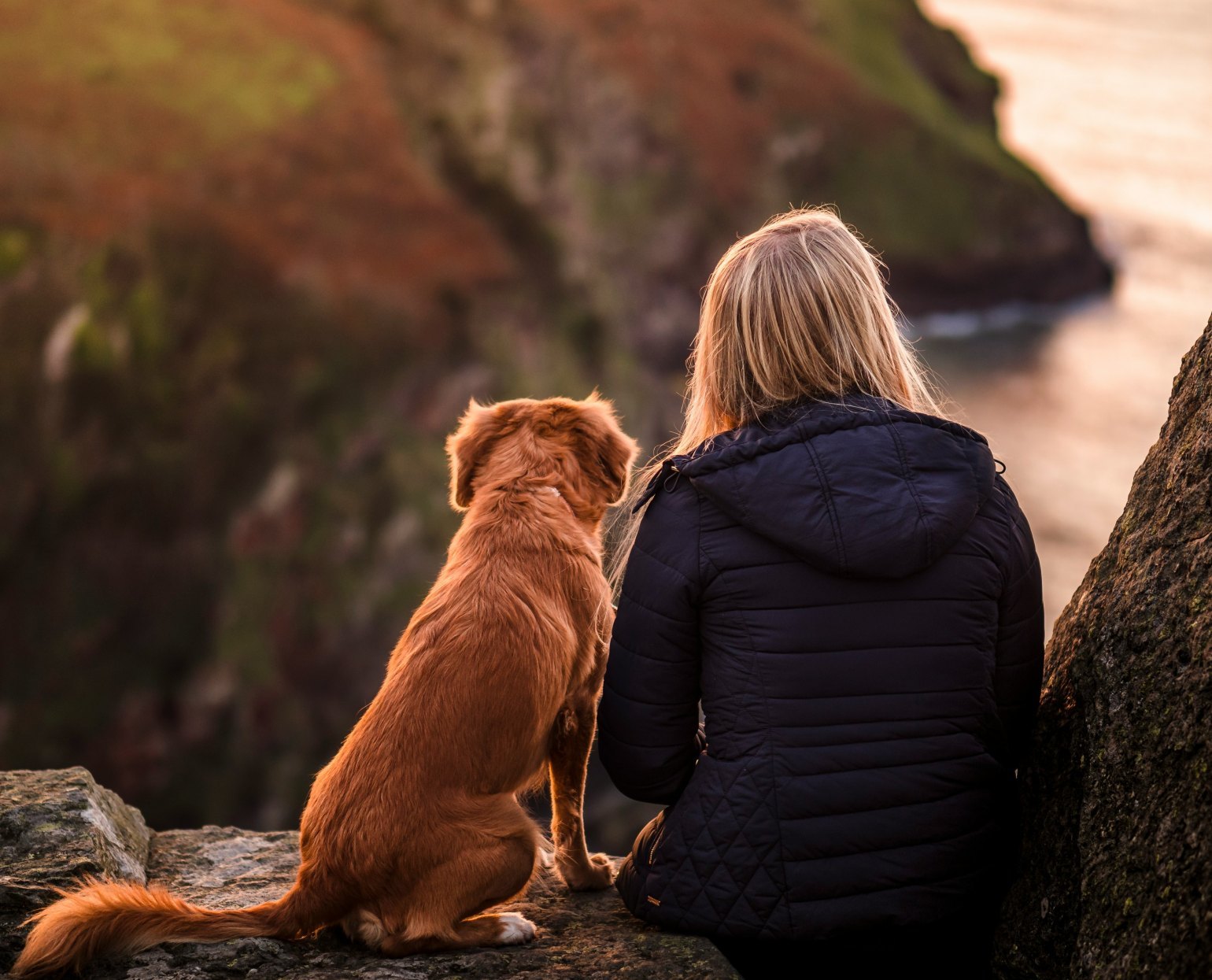 Pet Travel Essentials